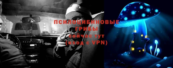 трава Бронницы