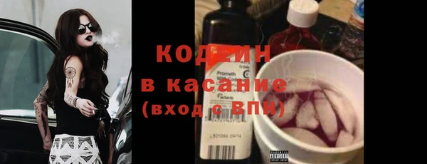 стаф Верея