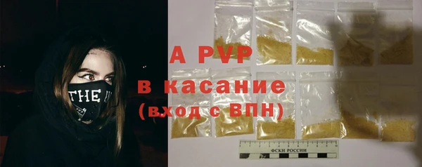 гидра Бородино
