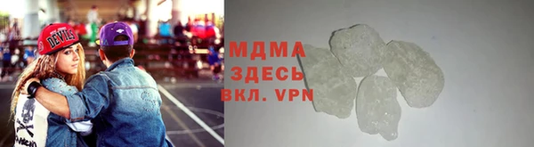 стаф Верея