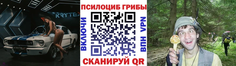 продажа наркотиков  Катав-Ивановск  Псилоцибиновые грибы GOLDEN TEACHER 
